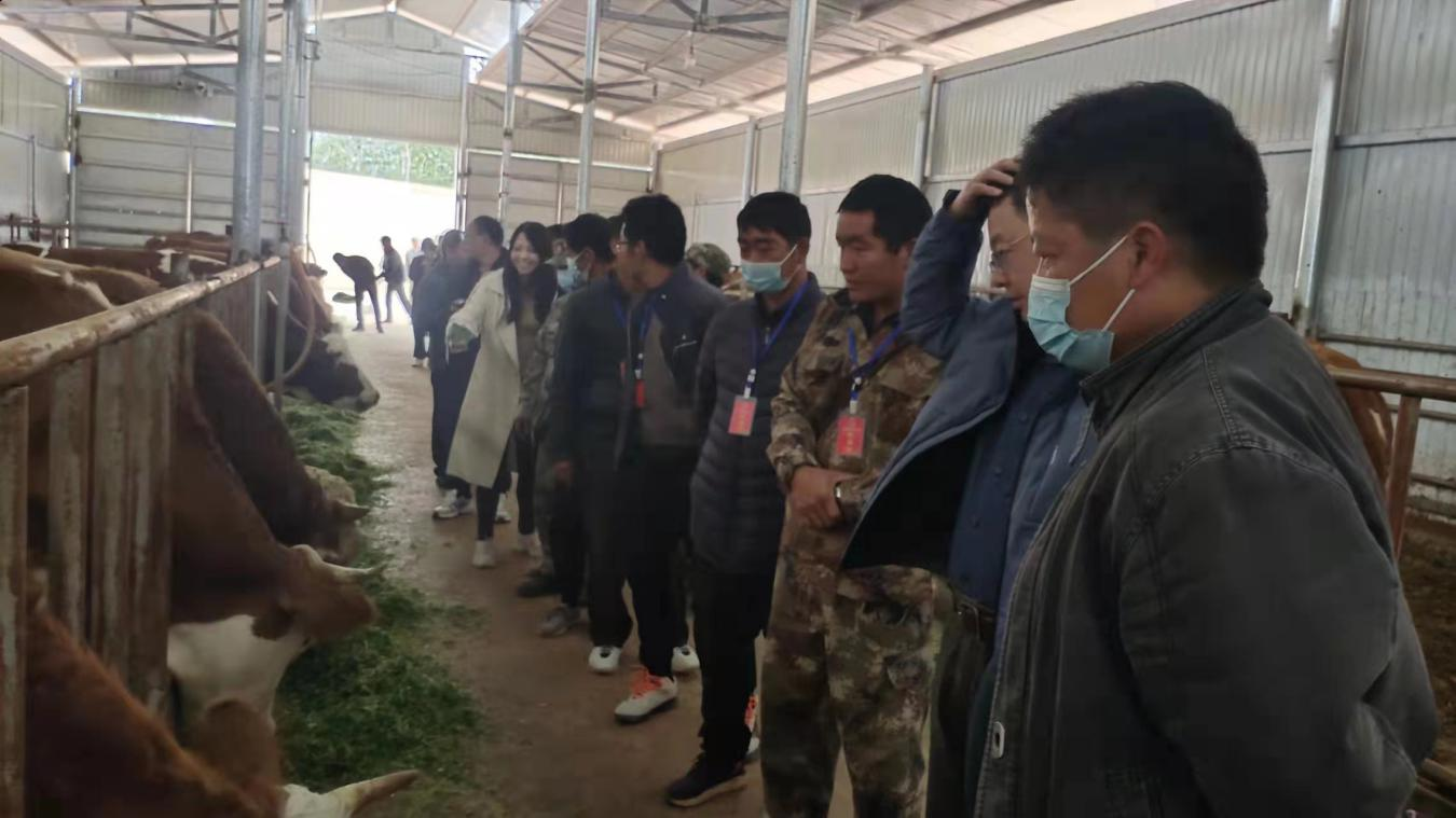 復制圖片 復制圖片
